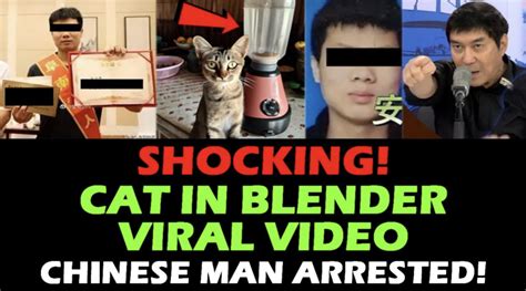 twitter cat blender|The ‘Cat In Blender’ Video: A Disturbing Tale Of。